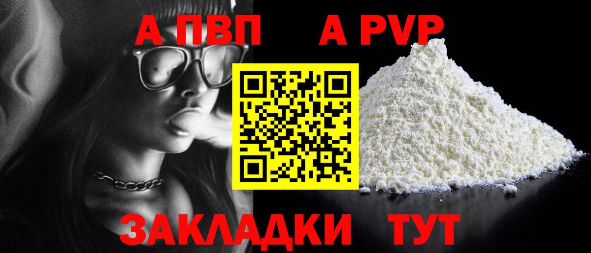A PVP СК КРИС Великий Новгород