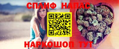 дмт Канаш