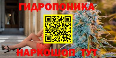 скорость Кандалакша