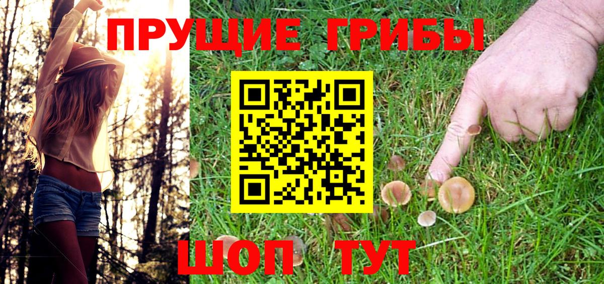 Великий Новгород  Галлюциногенные грибы MAGIC MUSHROOMS  Вход с VPN 